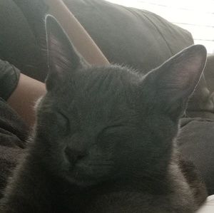 Meet your Posher, Isabel